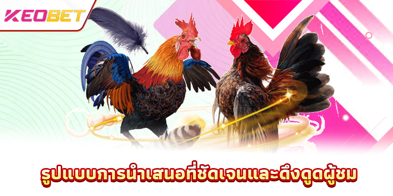 รูปแบบการนำเสนอที่ชัดเจนและดึงดูดผู้ชม