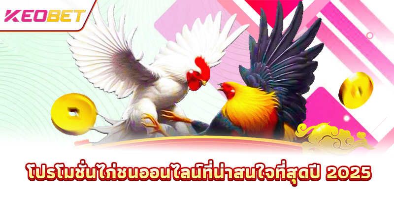 โปรโมชั่นไก่ชนออนไลน์ที่น่าสนใจที่สุดปี 2025