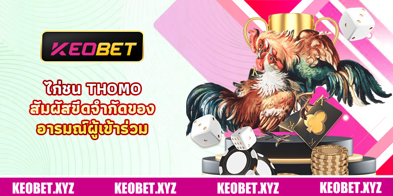 ไก่ชน Thomo - สัมผัสขีดจำกัดของอารมณ์ผู้เข้าร่วม ไก่ชน Thomo - สัมผัสขีดจำกัดของอารมณ์ผู้เข้าร่วม